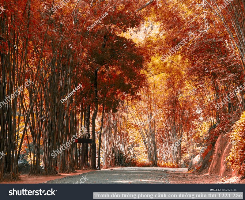 Tranh dán tường phong cảnh con đường mùa thu T321-256